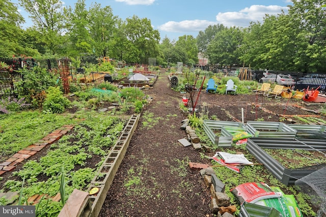 955 N American St, Philadelphia, PA 19123 - view of yard with a vegetable garden, fence, and view of scattered trees
