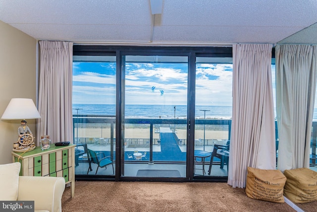 10900 Coastal Hwy Unit 209, Ocean City, MD 21842 - living room featuring a water view, carpet floors, and a wall of windows