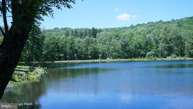 water view with a forest