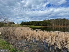 LOT15 W Parker Dr, Augusta, WV 26704 - view of undeveloped land featuring a nearby body of water