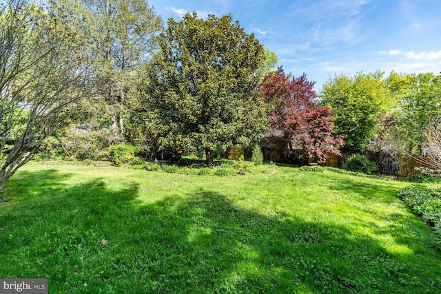 3911 Prospect St, Kensington, MD 20895 - view of yard
