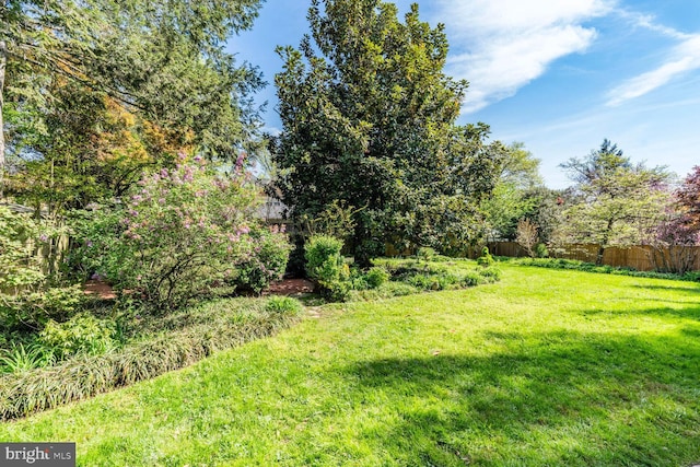 3911 Prospect St, Kensington, MD 20895 - view of yard
