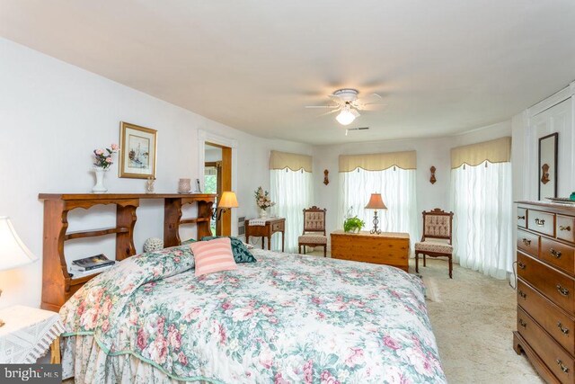 121 S Central St, Broadway, VA 22815 - bedroom with light colored carpet and ceiling fan