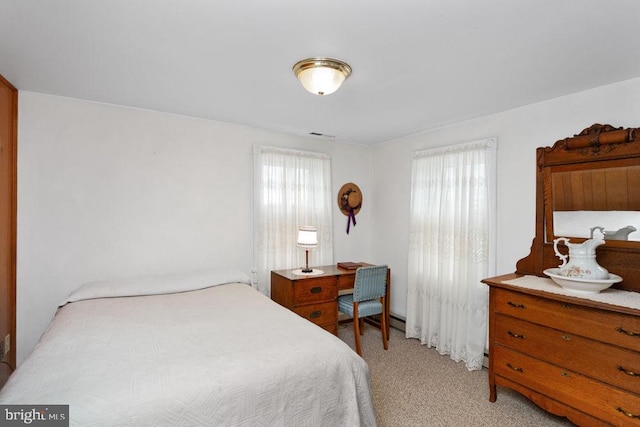 121 S Central St, Broadway, VA 22815 - bedroom with light colored carpet