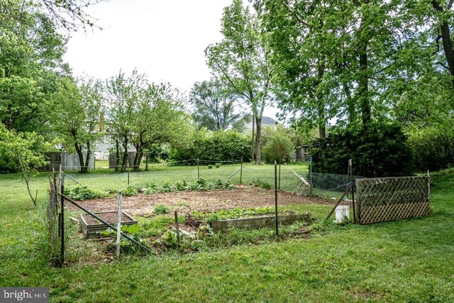 121 S Central St, Broadway, VA 22815 - view of yard