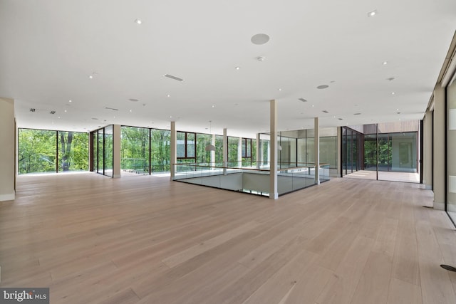 unfurnished room with light wood finished floors and plenty of natural light