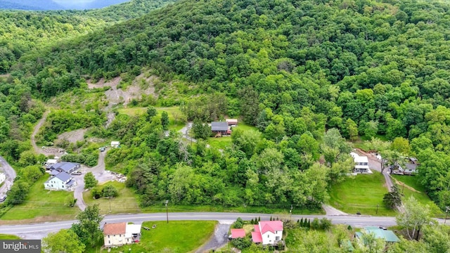 10263 Licking Creek Rd, Mifflintown, PA 17059 - drone / aerial view of a forest