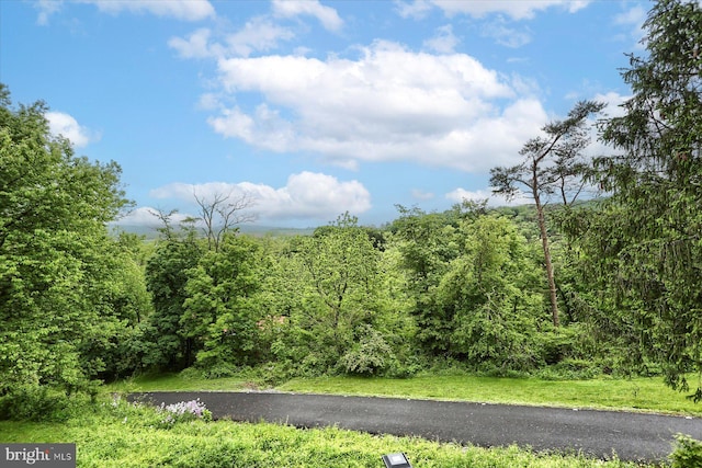 10263 Licking Creek Rd, Mifflintown, PA 17059 - view of road with a wooded view