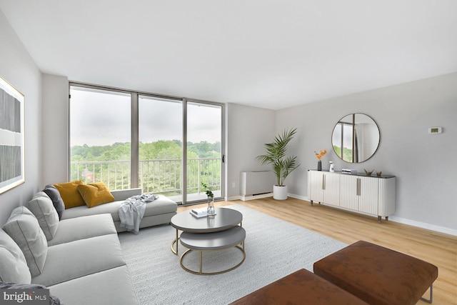 4520 King St Unit 609, Alexandria, VA 22302 - living room featuring light wood-style flooring, baseboards, and a wall of windows