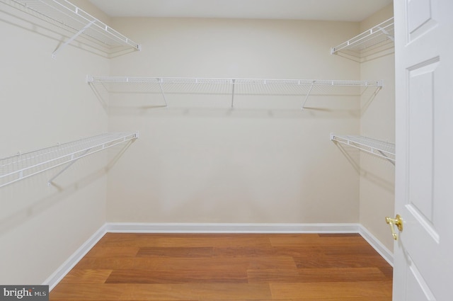 6 Applewood Ct, Hainesport, NJ 08036 - walk in closet with wood finished floors