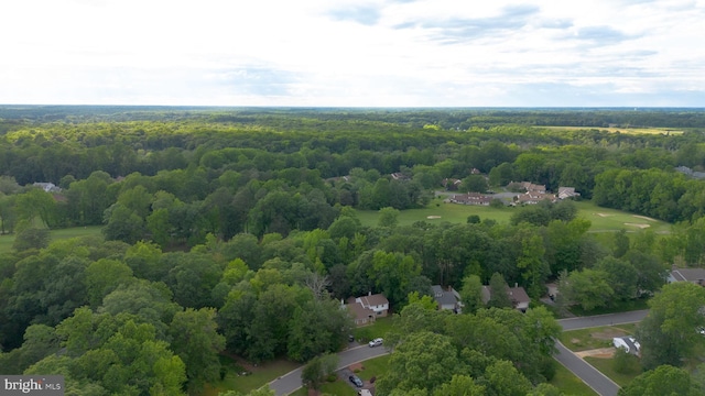 330 Troon Rd, Dover, DE 19904 - aerial view of a heavily wooded area