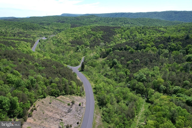 bird's eye view of a heavily wooded area
