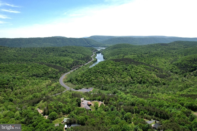 aerial view of a heavily wooded area and a nearby body of water