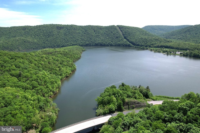 aerial view of a water and mountain view and a heavily wooded area