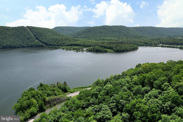 water view featuring a forest and mountains