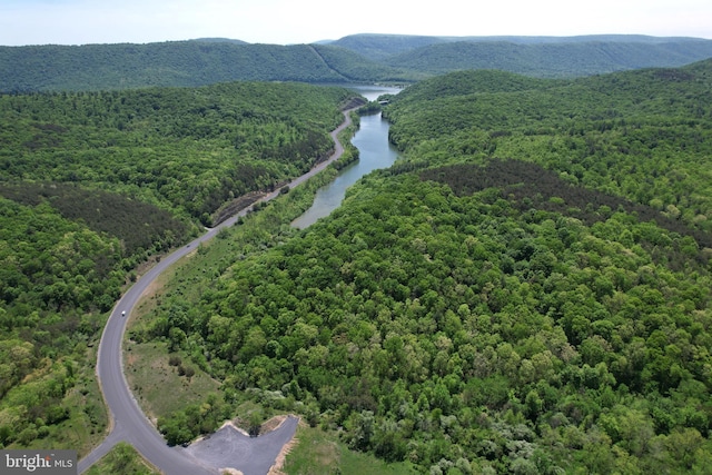 aerial view of a water and mountain view and a forest