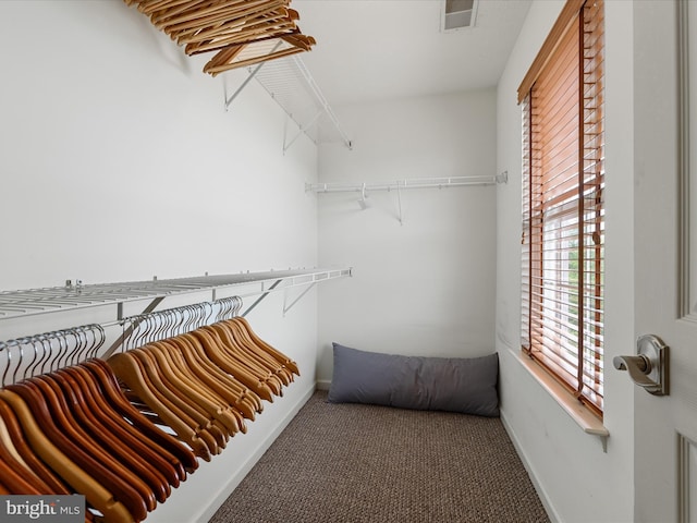 2079 Stoneleigh Dr, Winchester, VA 22601 - walk in closet featuring carpet floors