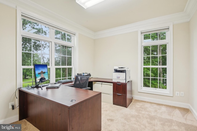 13330 Darnestown Rd, Darnestown, MD 20878 - office space with healthy amount of natural light, crown molding, light colored carpet, and baseboards