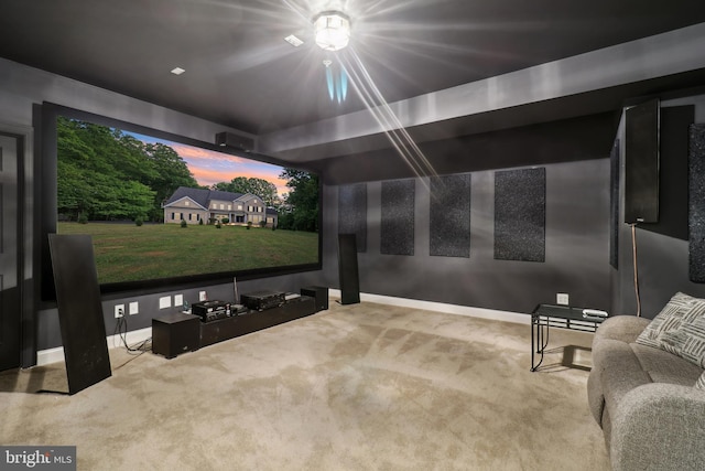 13330 Darnestown Rd, Darnestown, MD 20878 - cinema with carpet flooring and baseboards