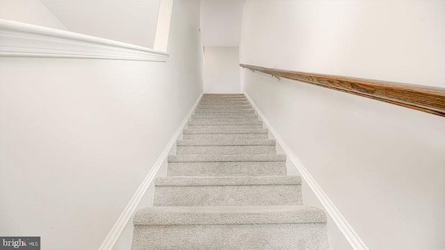 1214 Peterson Way, Absecon, NJ 08201 - stairway with carpet flooring