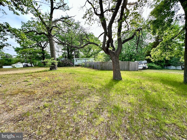 1604 Erial Rd, Pine Hill, NJ 08021 - view of yard