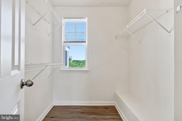 42189 Shorecrest Ter, Aldie, VA 20105 - walk in closet with wood finished floors