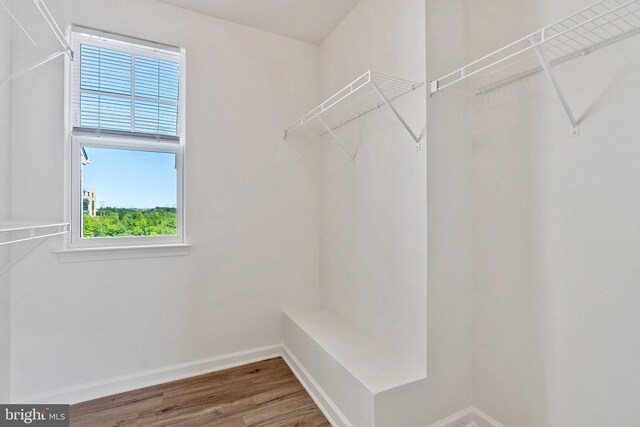42189 Shorecrest Ter, Aldie, VA 20105 - walk in closet featuring wood finished floors