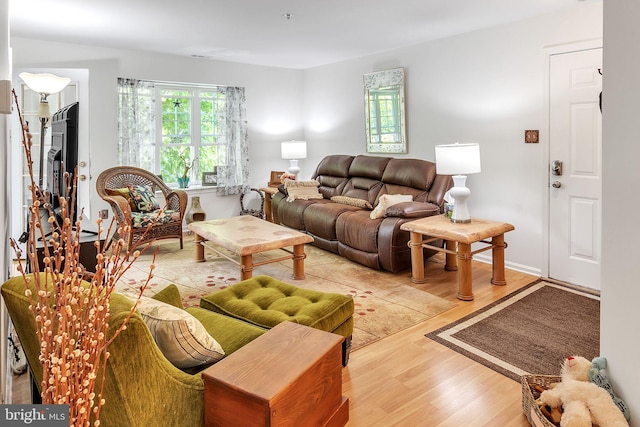 living room featuring plenty of natural light and wood finished floors