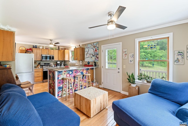 686 Snow Mountain Rd, Stanardsville, VA 22973 - living area featuring a ceiling fan, light wood-style flooring, and crown molding