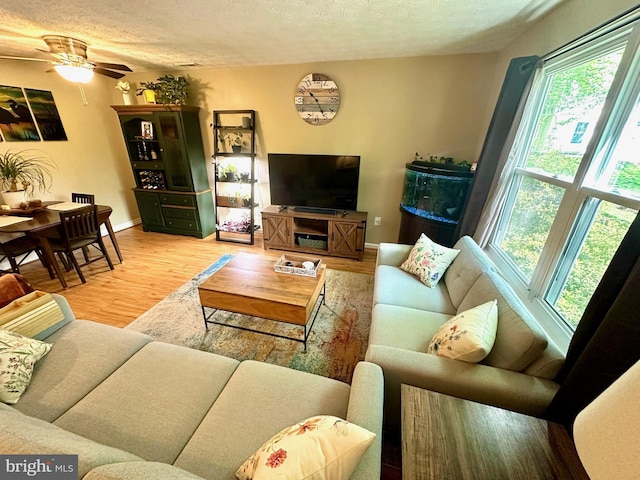 18628 Winding Creek Pl, Germantown, MD 20874 - living room featuring plenty of natural light, wood finished floors, a textured ceiling, ceiling fan, and baseboards