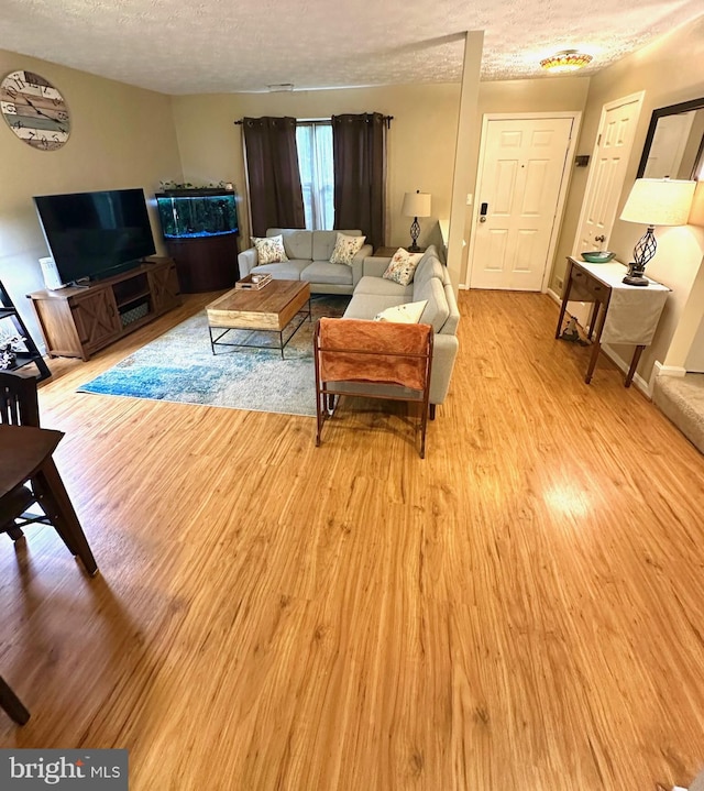 18628 Winding Creek Pl, Germantown, MD 20874 - living room with light wood-style flooring and a textured ceiling