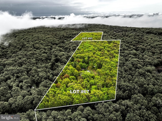 1939 Old Reading Rd Lot 67, 95, Catawissa, PA 17820 - view of property location featuring a forest and property parcel outlined