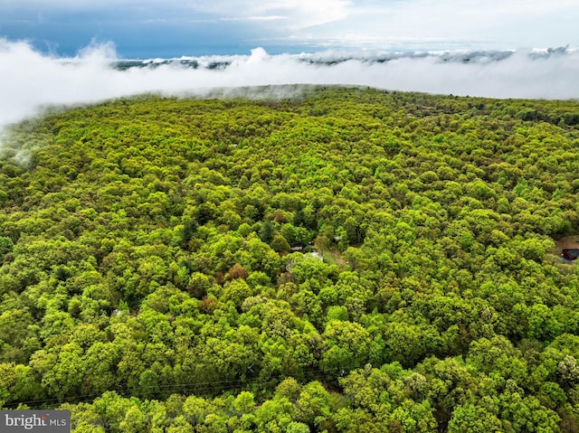 1939 Old Reading Rd Lot 67, 95, Catawissa, PA 17820 - drone / aerial view of a heavily wooded area