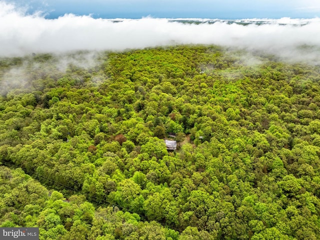 1939 Old Reading Rd Lot 67, 95, Catawissa, PA 17820 - aerial view of a forest and a large body of water
