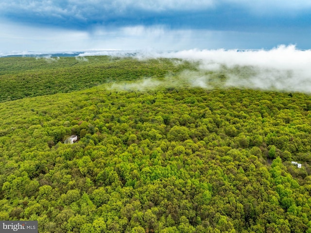 1939 Old Reading Rd Lot 67, 95, Catawissa, PA 17820 - bird's eye view of a forest