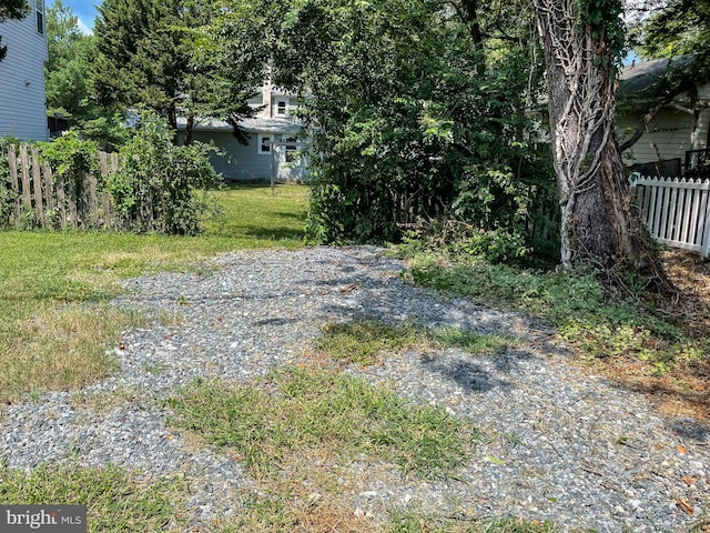 1021 Park Ave, Annapolis, MD 21403 - view of yard