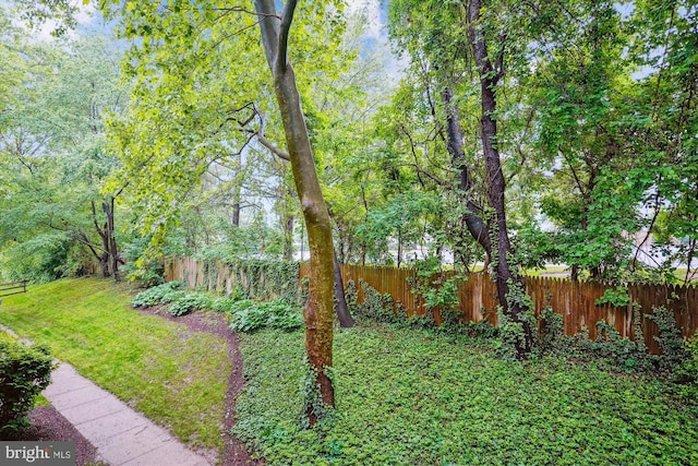 view of yard featuring fence