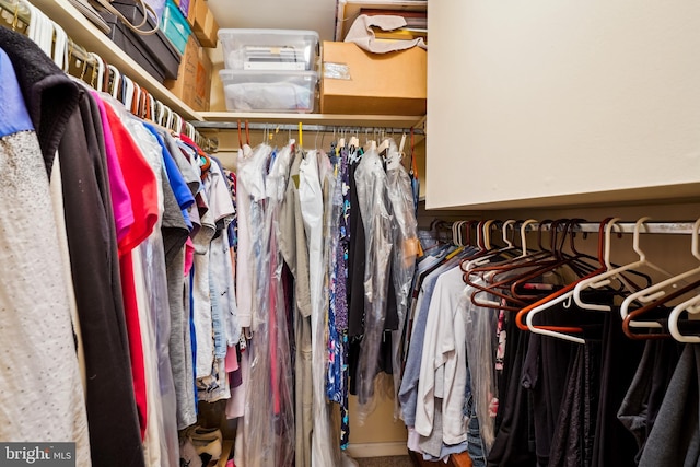 view of walk in closet