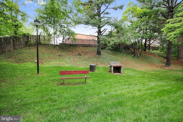 view of yard