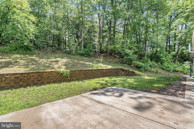 view of grassy yard featuring a patio area
