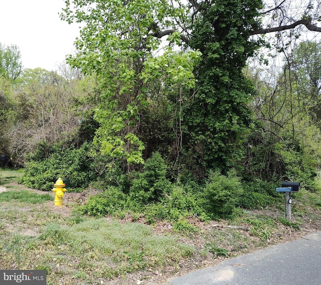 9818 Meadowview Dr, Newburg, MD 20664
