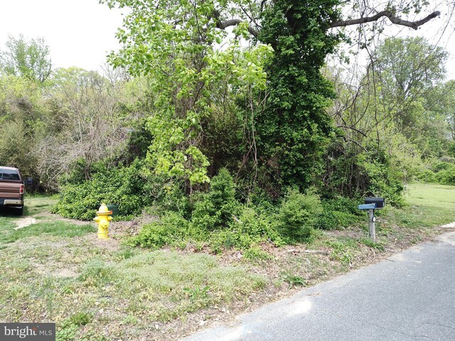 9818 Meadowview Dr, Newburg, MD 20664