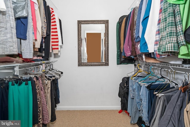 205 Hitching Post Dr, Wilmington, DE 19803 - spacious closet featuring carpet flooring