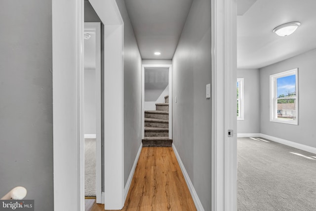 19 E Main St, Salem, NJ 08079 - hall featuring baseboards, stairway, wood finished floors, and carpet