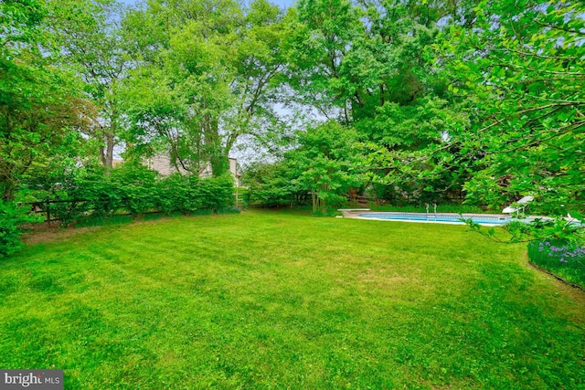 view of green lawn with view of wooded area