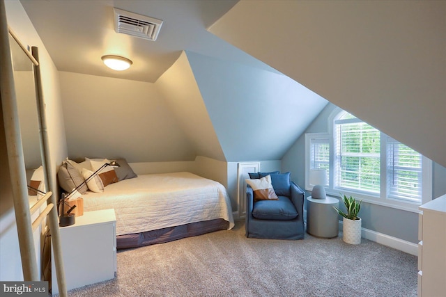 65 S College St, Carlisle, PA 17013 - carpeted bedroom with baseboards and vaulted ceiling