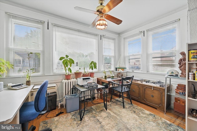 office space with ceiling fan, wood finished floors, and radiator heating unit
