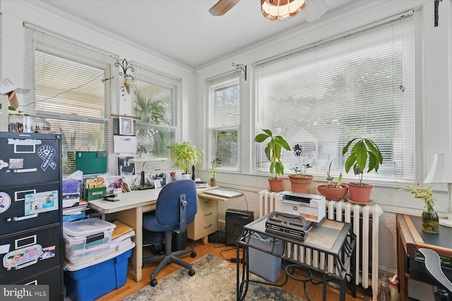 office featuring wood finished floors, radiator, ceiling fan, and ornamental molding