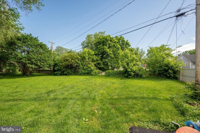 view of yard