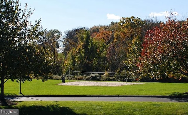 33 Laurel Cir, Newtown, PA 18940 - view of property's community featuring volleyball court and a lawn